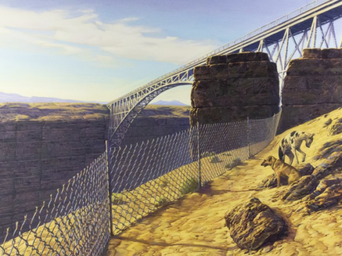 Chuck Forsman, Chasm