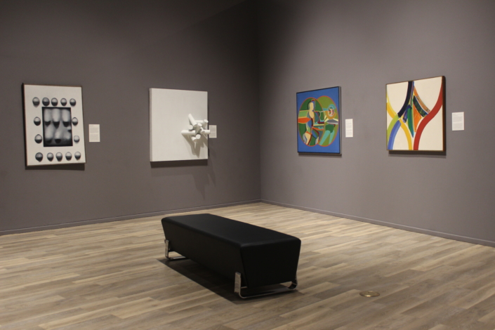 Installation Shot of Modern Art Gallery